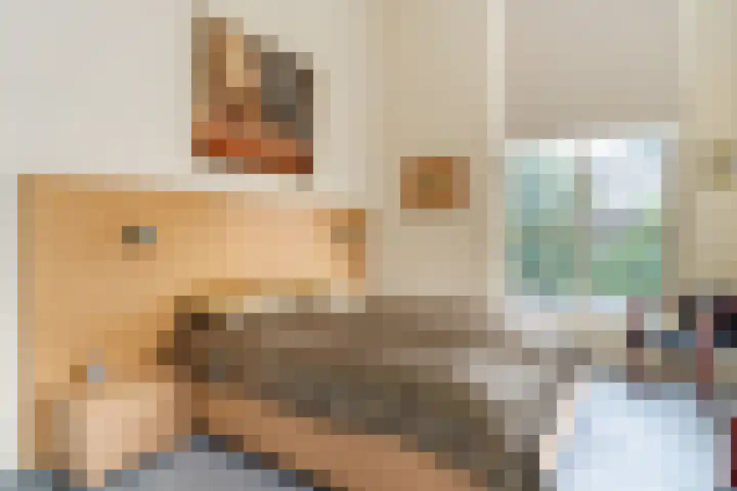Tsjerkestrjitte 2 Ternaard thumbnail 17