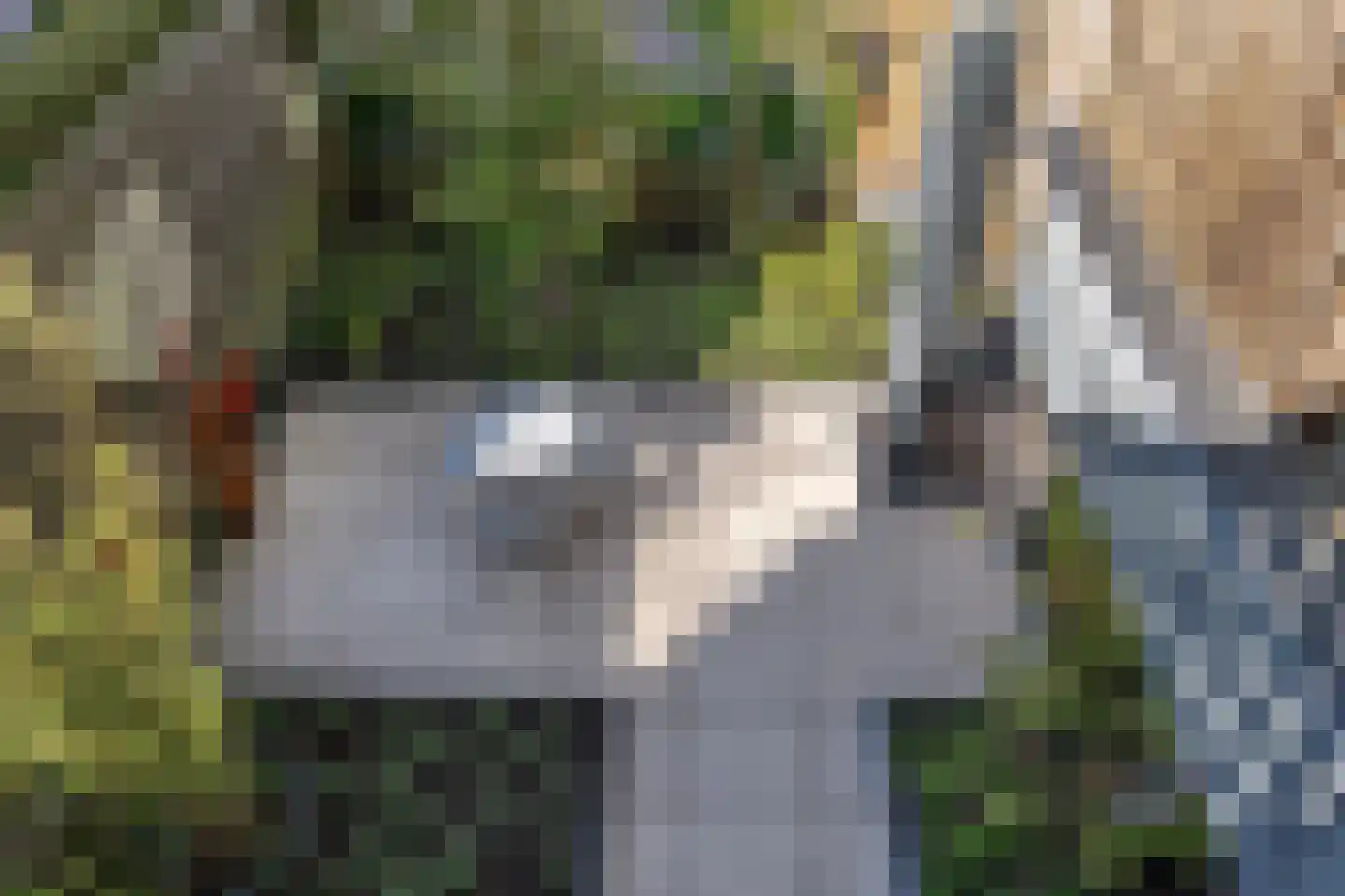 Tsjerkestrjitte 2 Ternaard thumbnail 27