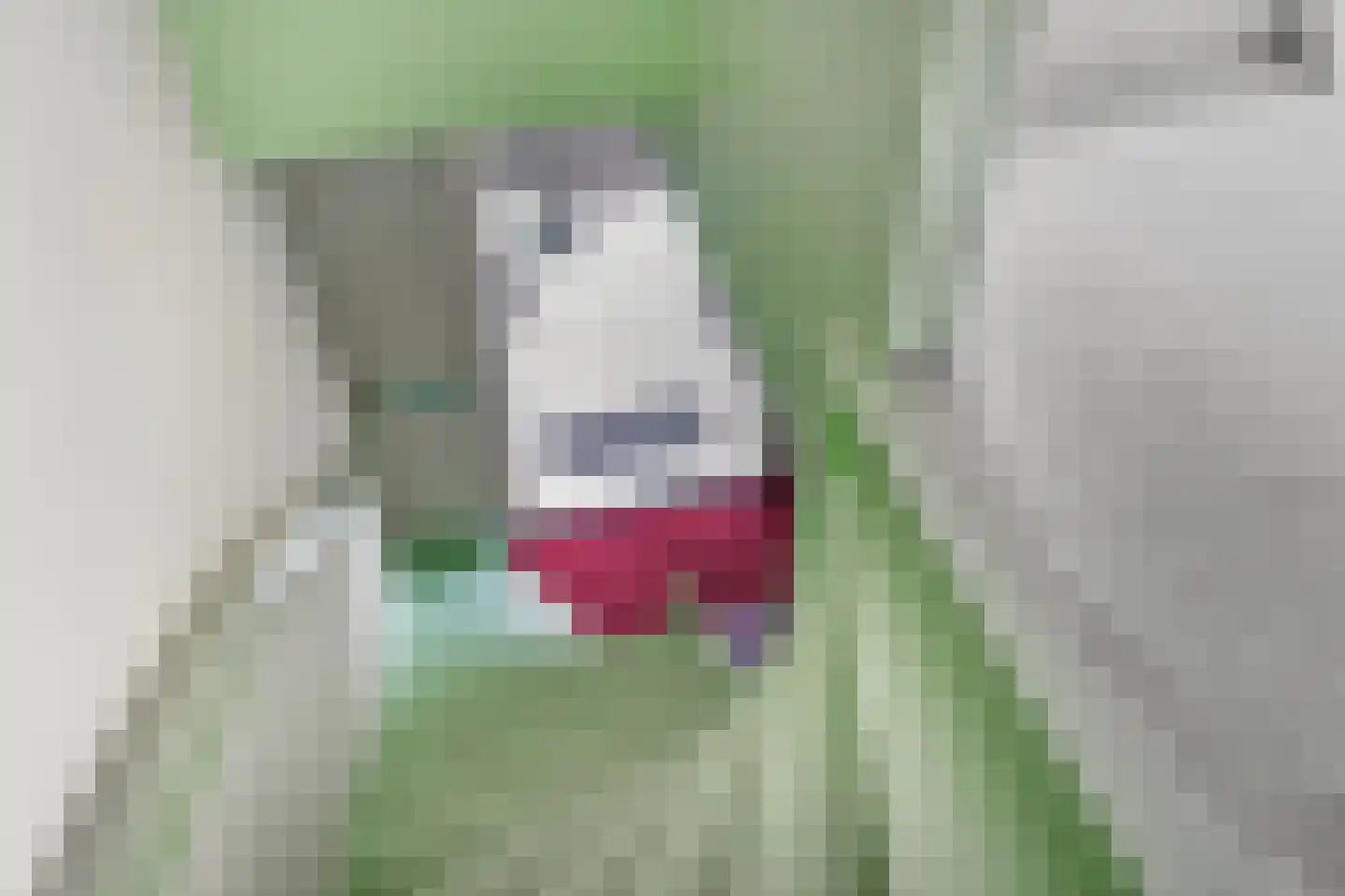 Tsjerkestrjitte 2 Ternaard thumbnail 28