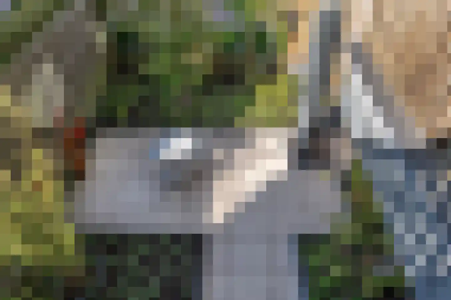 Tsjerkestrjitte 2 Ternaard thumbnail 30