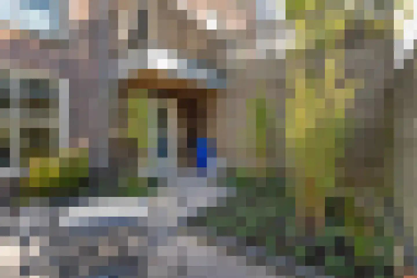 Tsjerkestrjitte 2 Ternaard thumbnail 30