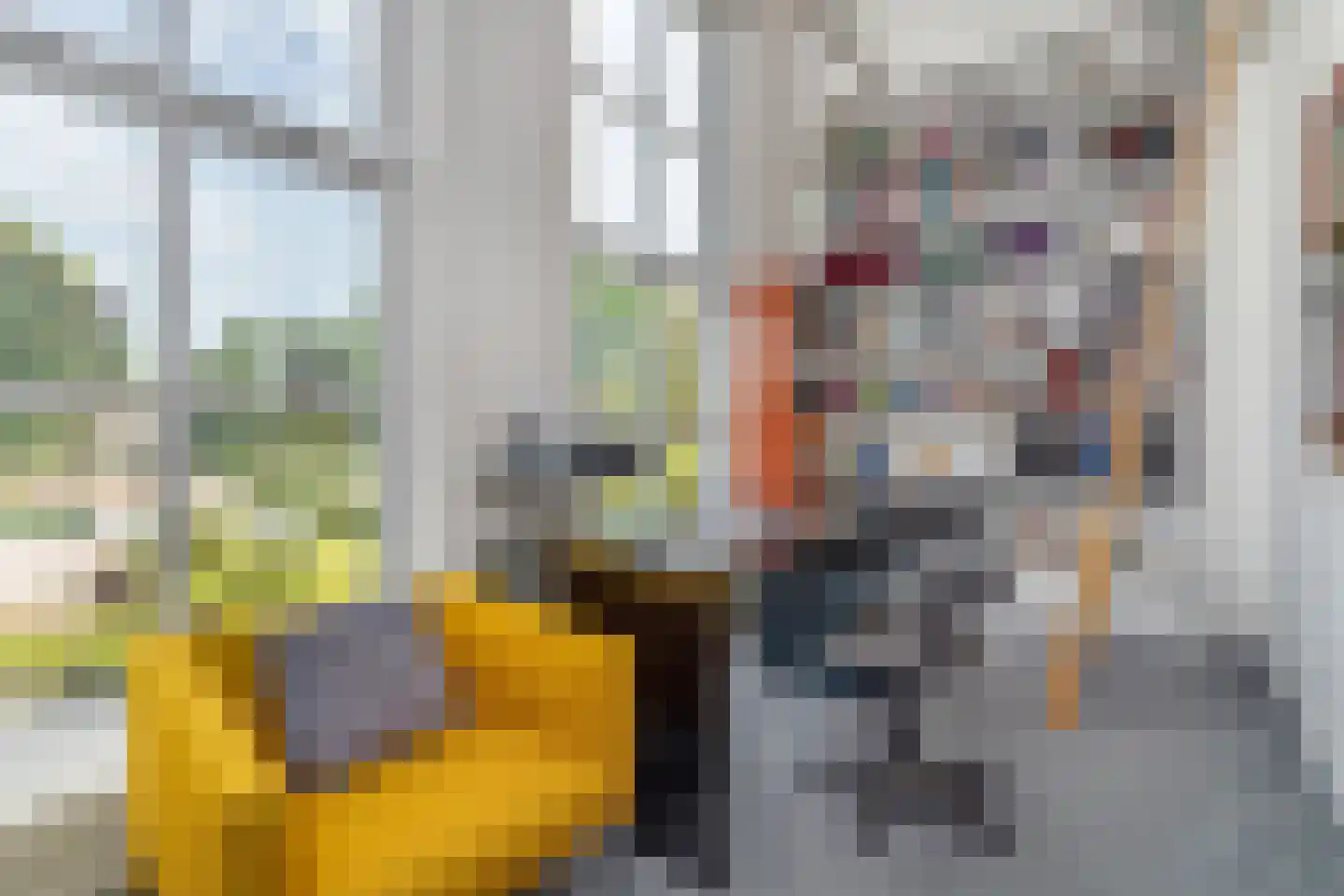 Tsjerkestrjitte 2 Ternaard thumbnail 4