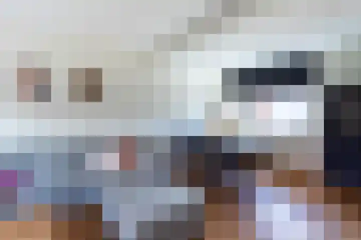 Tsjerkestrjitte 21 Minnertsga thumbnail 13