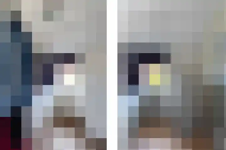 Tsjerkestrjitte 21 Minnertsga thumbnail 25
