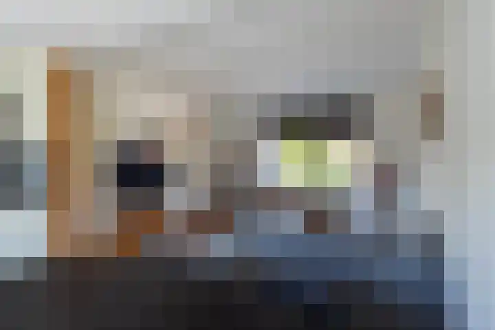 Tsjerkestrjitte 21 Minnertsga thumbnail 9