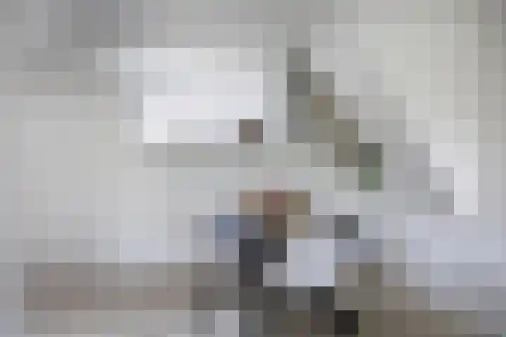 Tsjerkestrjitte 5 Hantum thumbnail 10