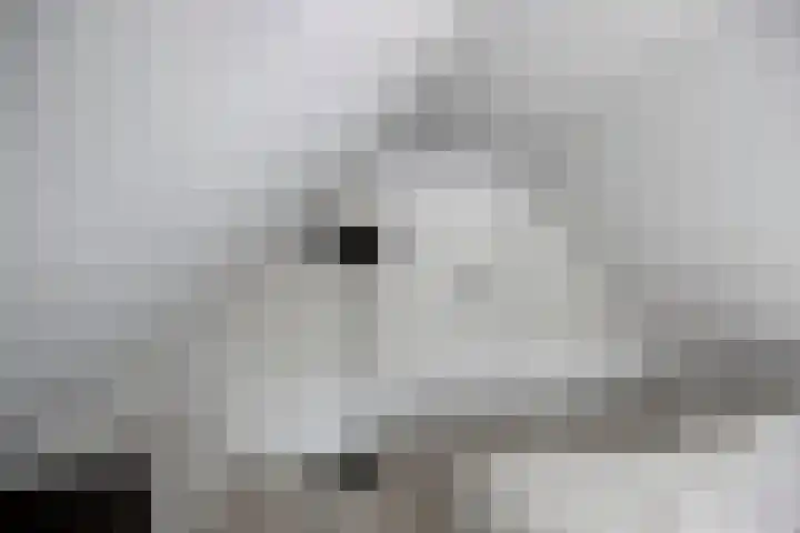 Tsjerkestrjitte 5 Hantum thumbnail 21