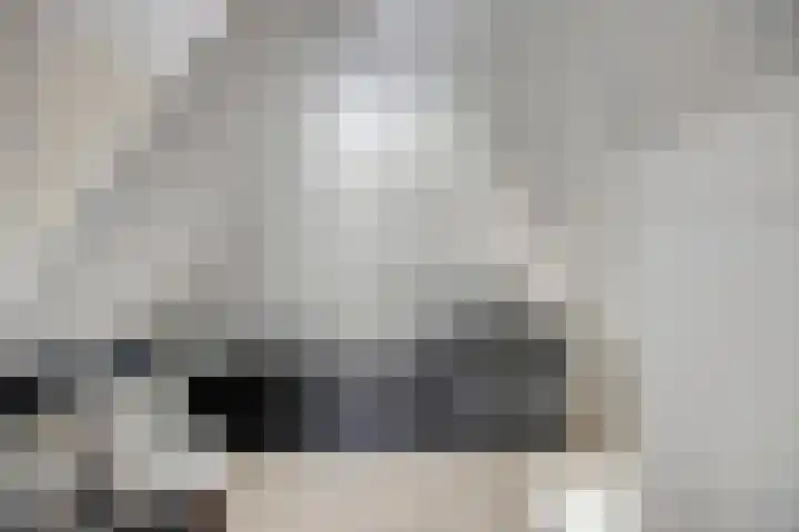 Tsjerkestrjitte 5 Hantum thumbnail 22