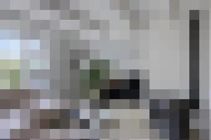 Tsjerkestrjitte 5 Hantum thumbnail 6