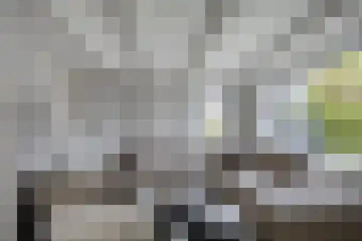 Tsjerkestrjitte 5 Hantum thumbnail 7