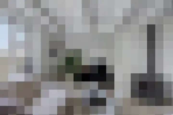 Tsjerkestrjitte 5 Hantum thumbnail 8