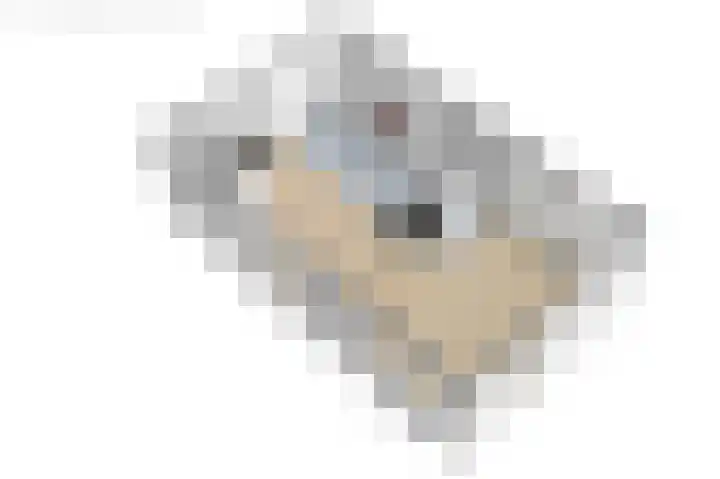 Tsjerkestrjitte 6 A Eanjum thumbnail 25