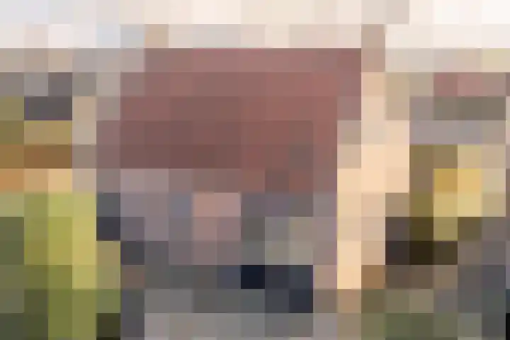 Tsjerkestrjitte 6 A Eanjum thumbnail 49