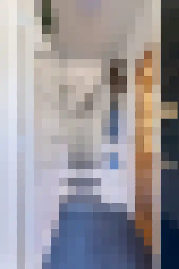 Tsjerkewei 11 Elahuizen thumbnail 19