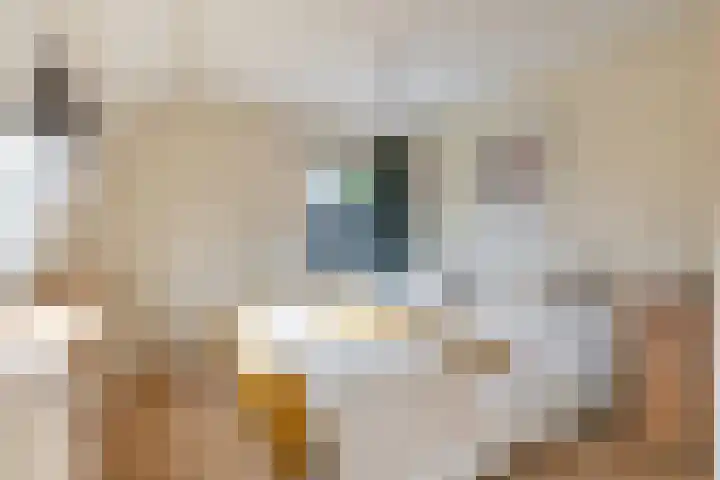 Tsjerkewei 11 Elahuizen thumbnail 37