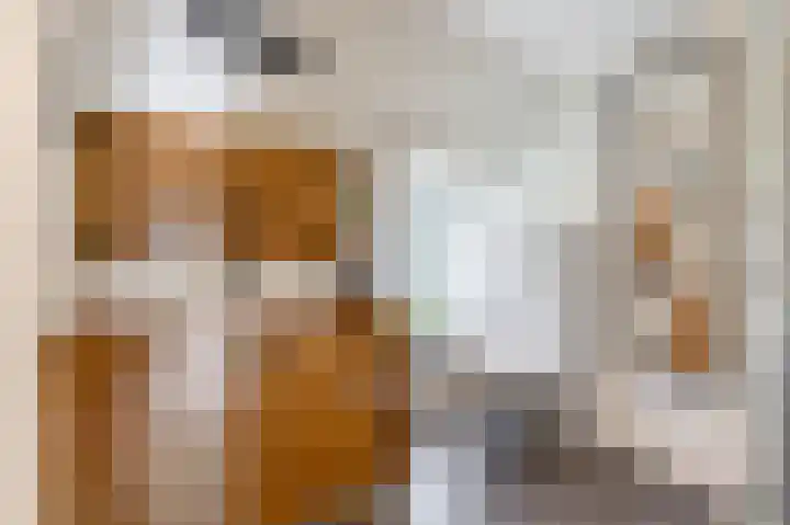 Tsjerkewei 11 Elahuizen thumbnail 44