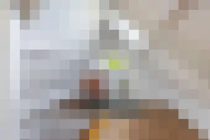 Tsjerkewei 11 Elahuizen thumbnail 46