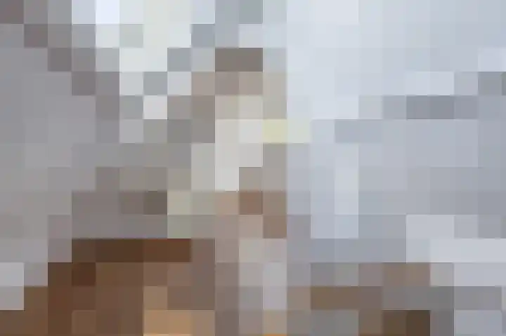 Tsjerkewei 11 Elahuizen thumbnail 47