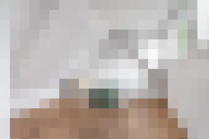 Tsjerkewei 11 Elahuizen thumbnail 48