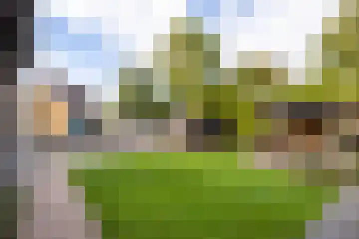 Tsjerkewei 11 Elahuizen thumbnail 50