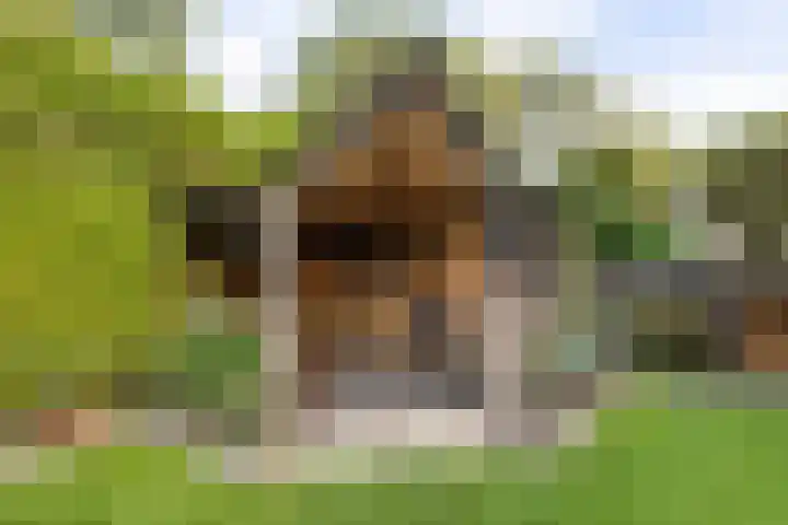 Tsjerkewei 11 Elahuizen thumbnail 52