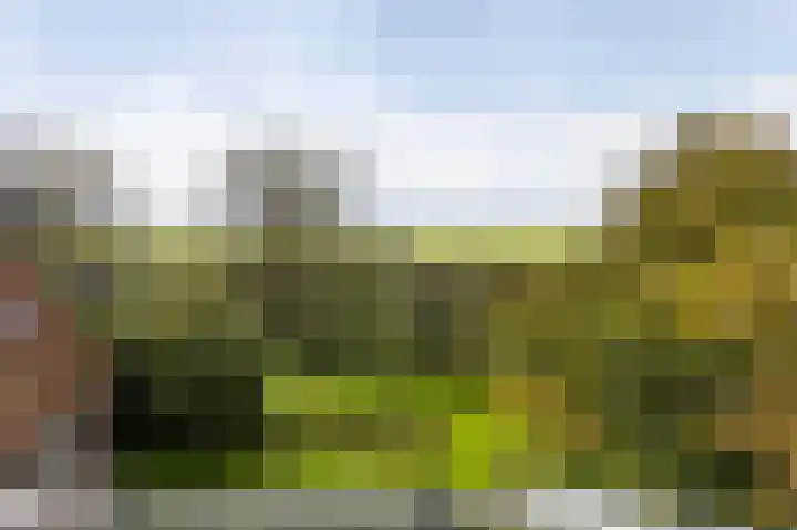 Tsjerkewei 11 Elahuizen thumbnail 54