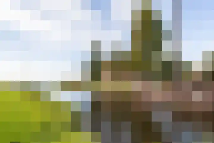 Tsjerkewei 11 Elahuizen thumbnail 56