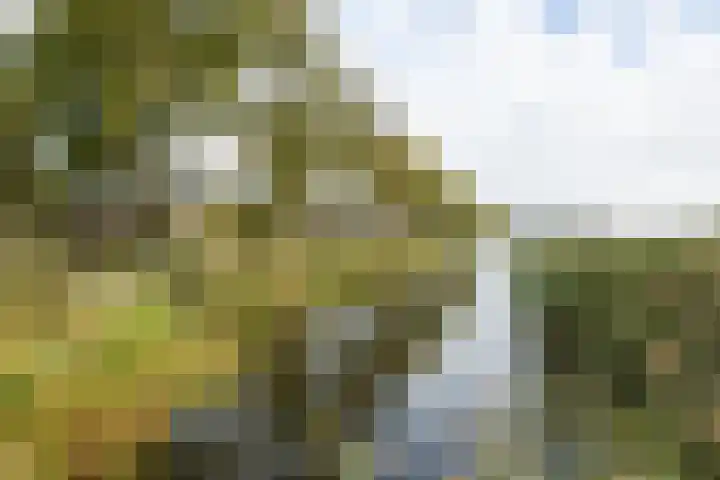 Tsjerkewei 11 Elahuizen thumbnail 57