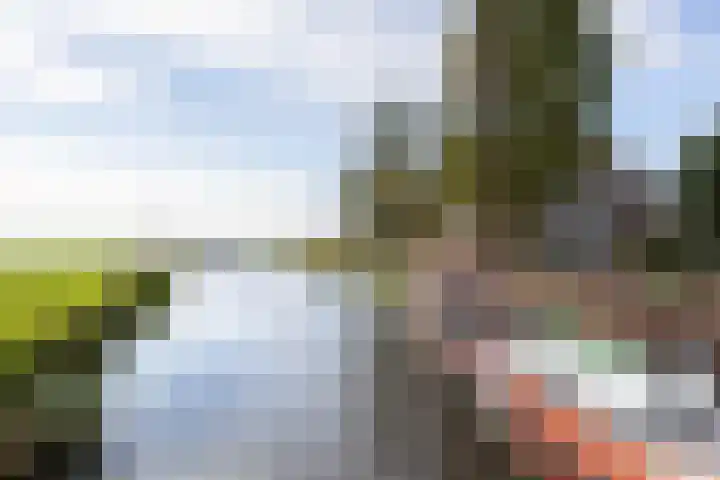 Tsjerkewei 11 Elahuizen thumbnail 58