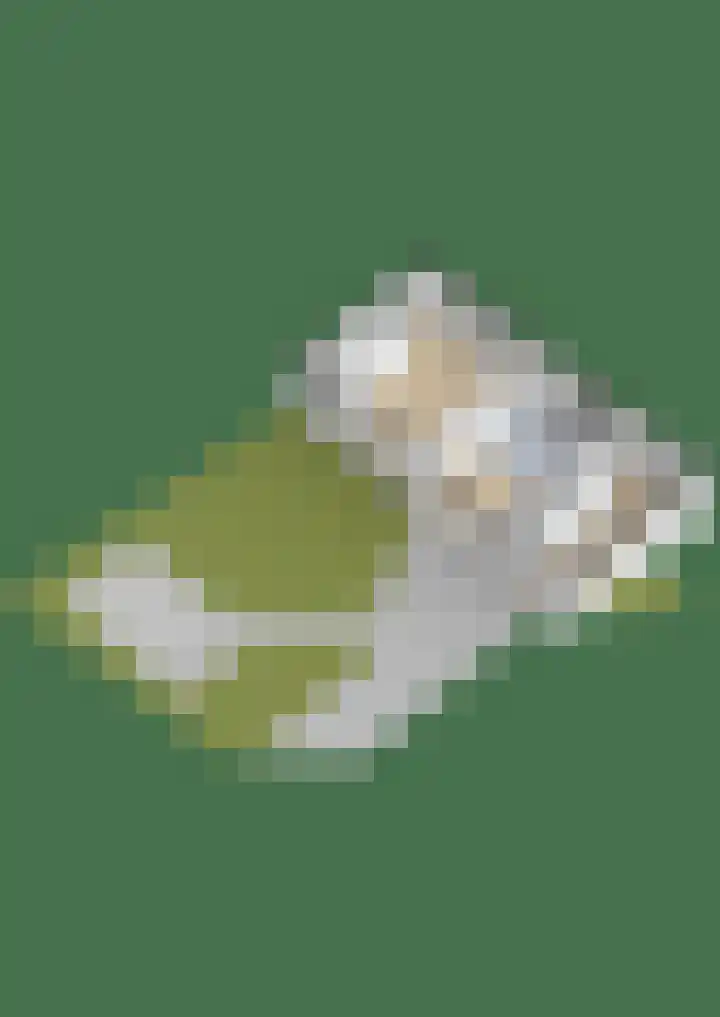 Tsjerkewei 11 Elahuizen thumbnail 68