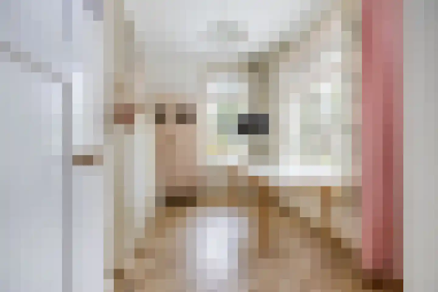 Tsjerkewei 28 Elahuizen thumbnail 11
