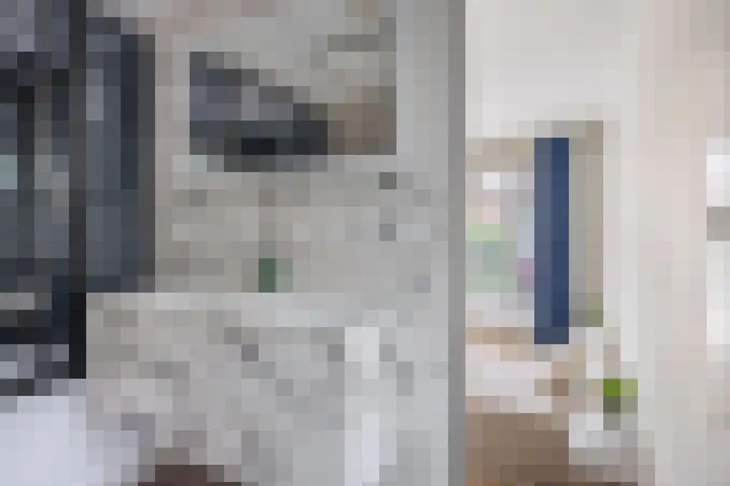 Tsjerkewei 28 Elahuizen thumbnail 21