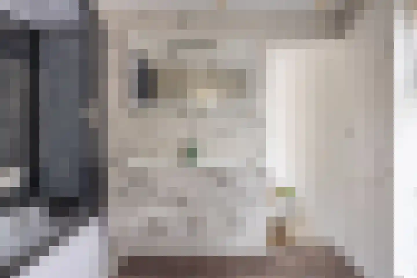Tsjerkewei 28 Elahuizen thumbnail 22