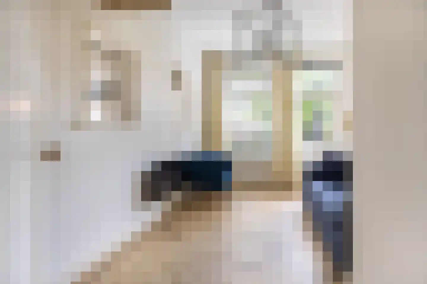 Tsjerkewei 28 Elahuizen thumbnail 27