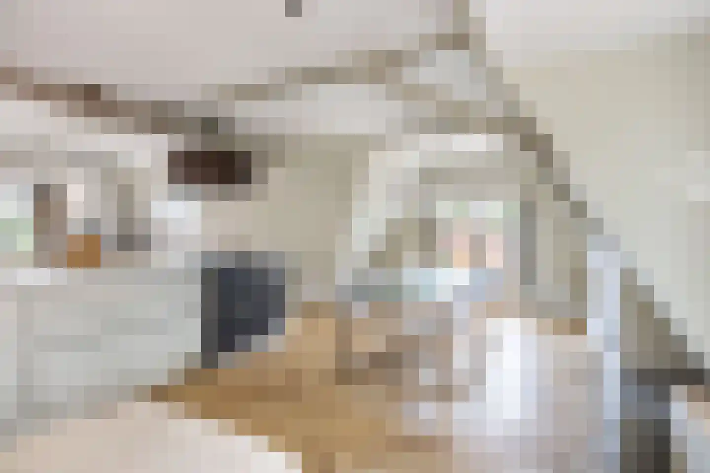 Tsjerkewei 28 Elahuizen thumbnail 31