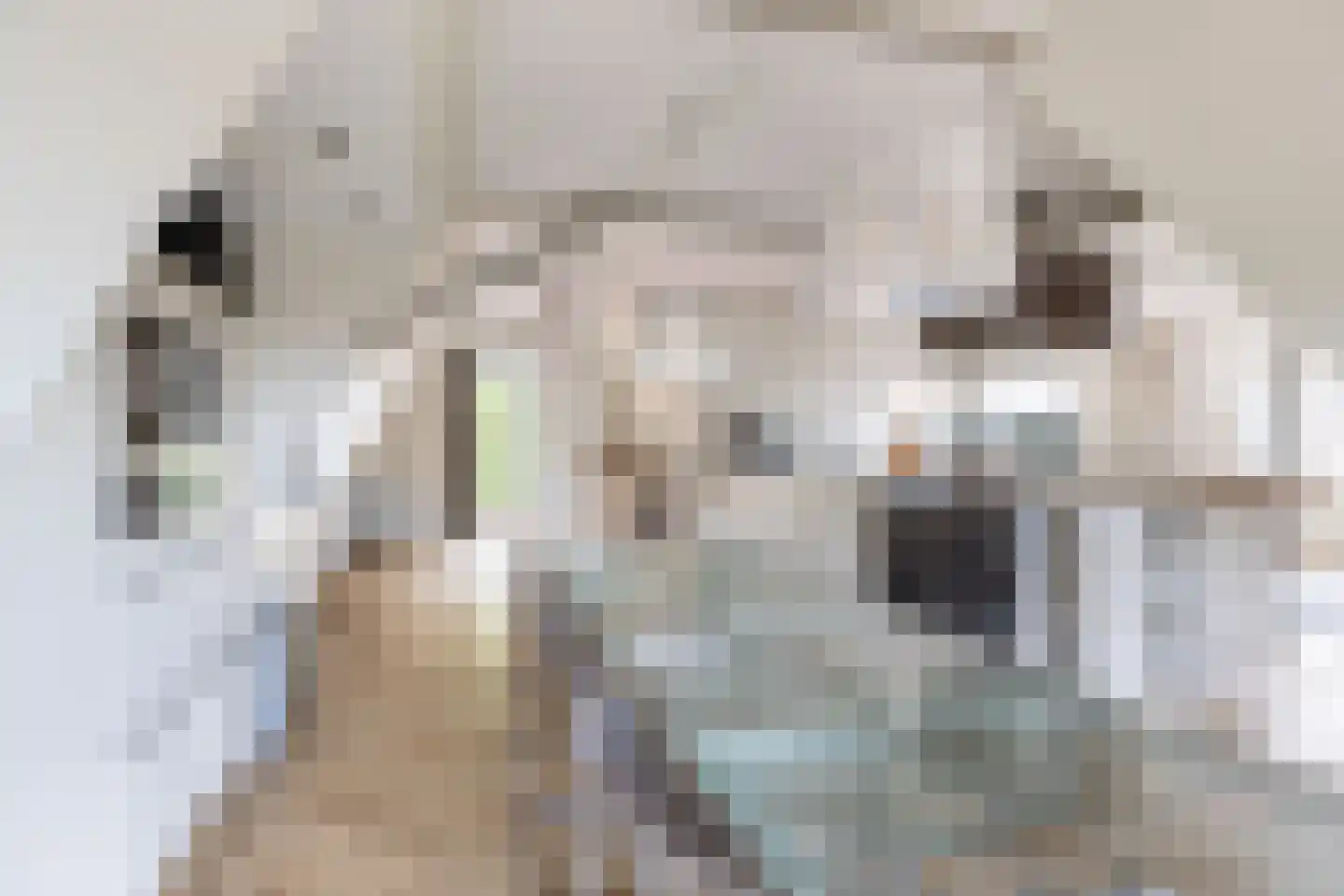 Tsjerkewei 28 Elahuizen thumbnail 35