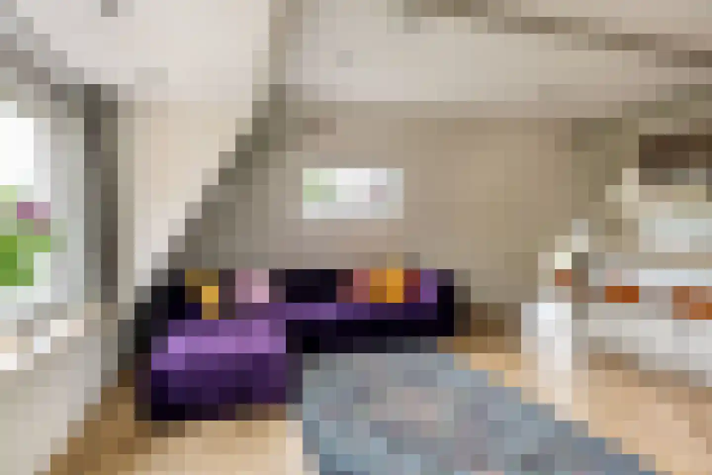 Tsjerkewei 28 Elahuizen thumbnail 39