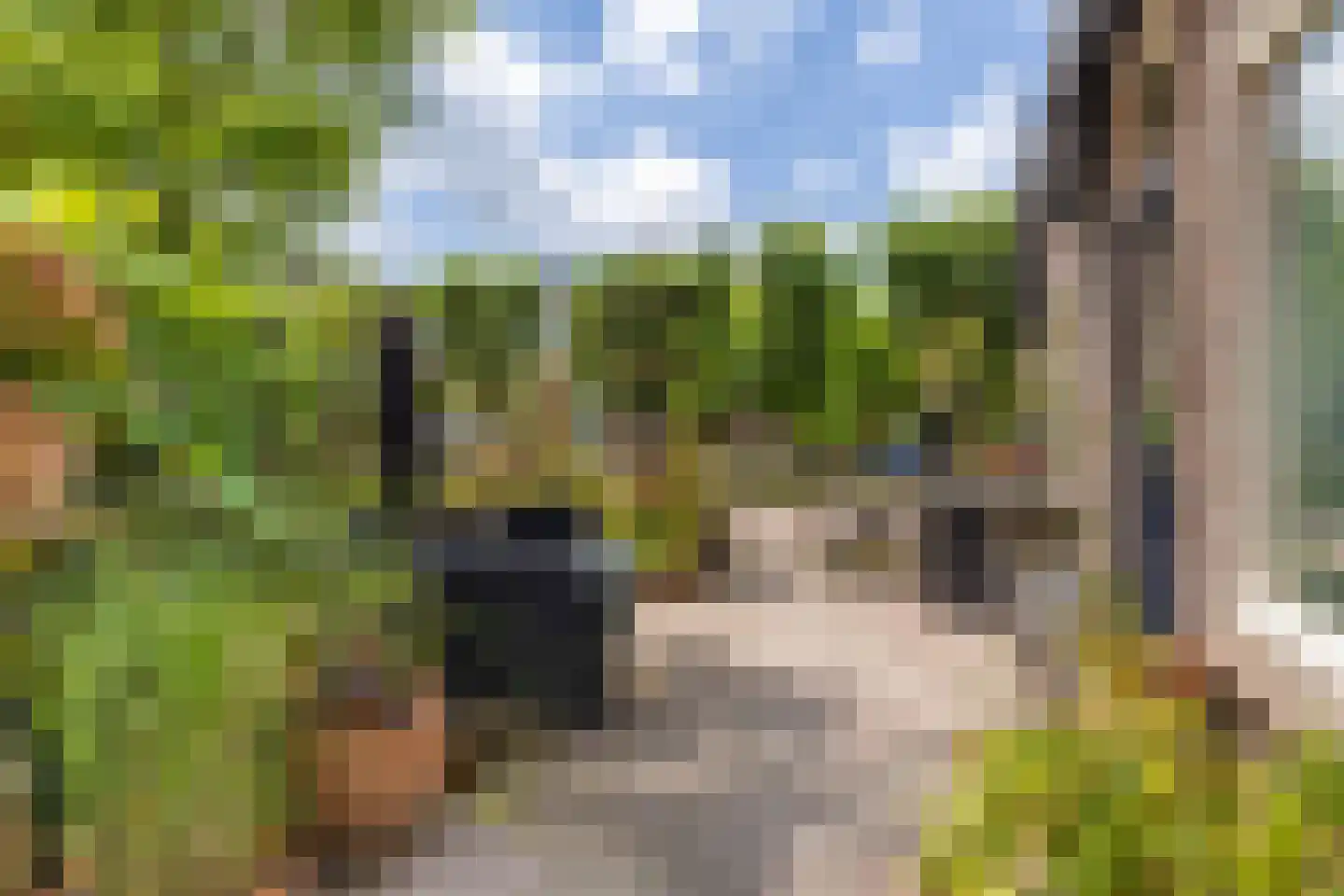 Tsjerkewei 28 Elahuizen thumbnail 42