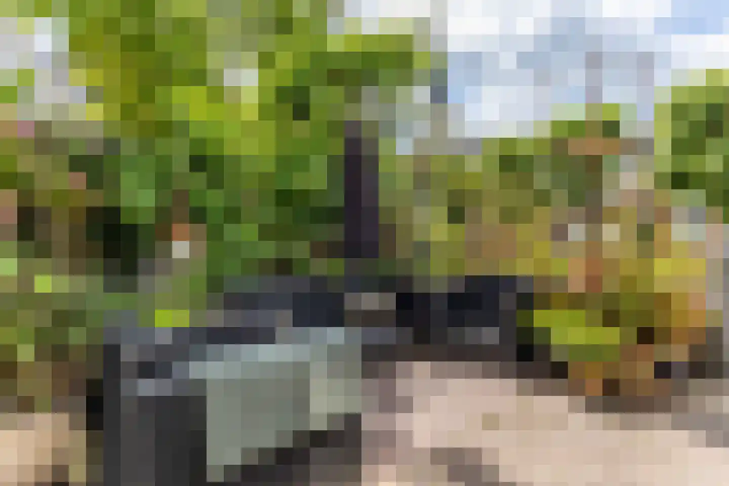 Tsjerkewei 28 Elahuizen thumbnail 43