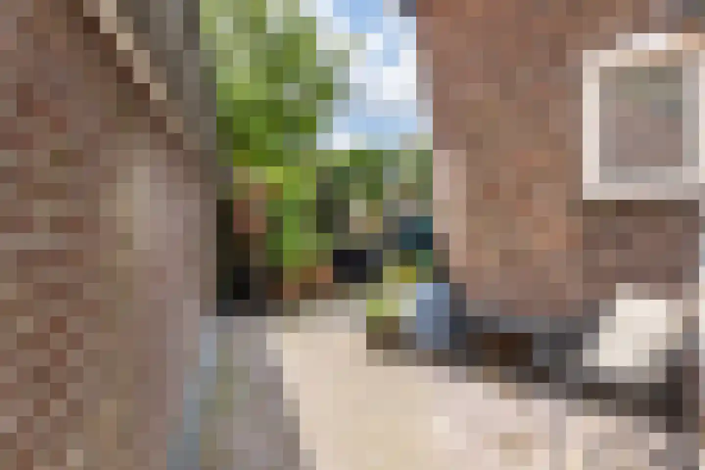 Tsjerkewei 28 Elahuizen thumbnail 44