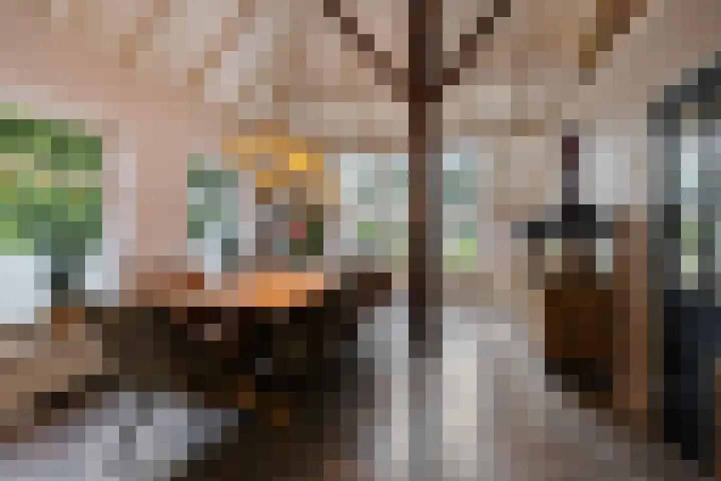 Tsjessenswei 5 Waaxens thumbnail 10