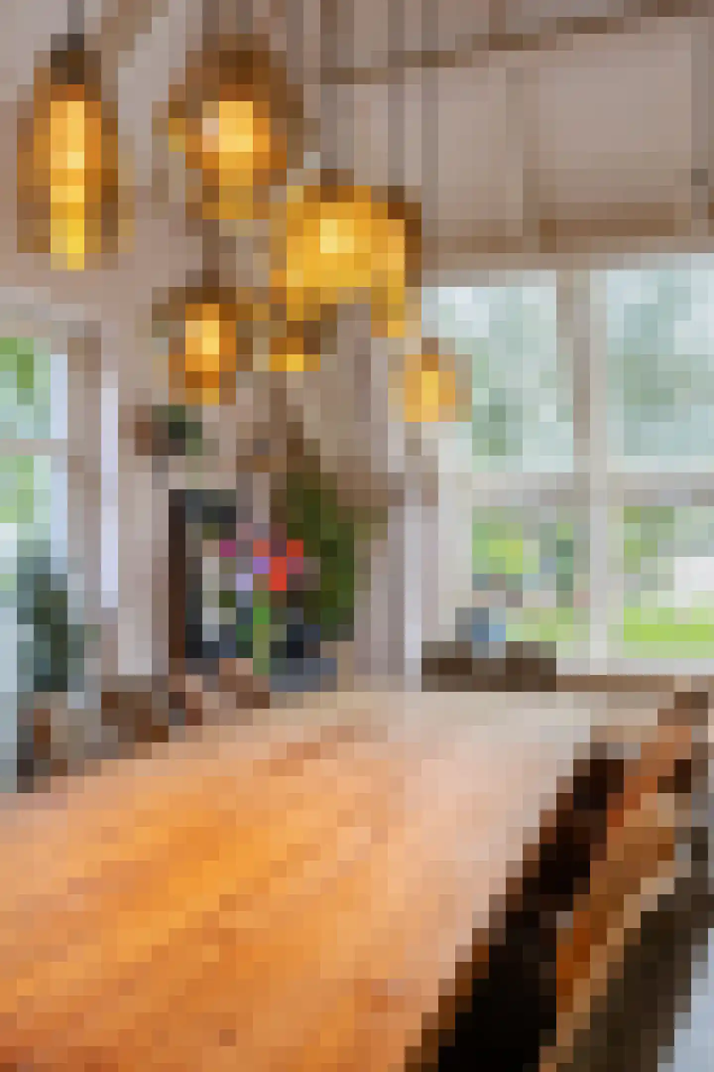 Tsjessenswei 5 Waaxens thumbnail 11