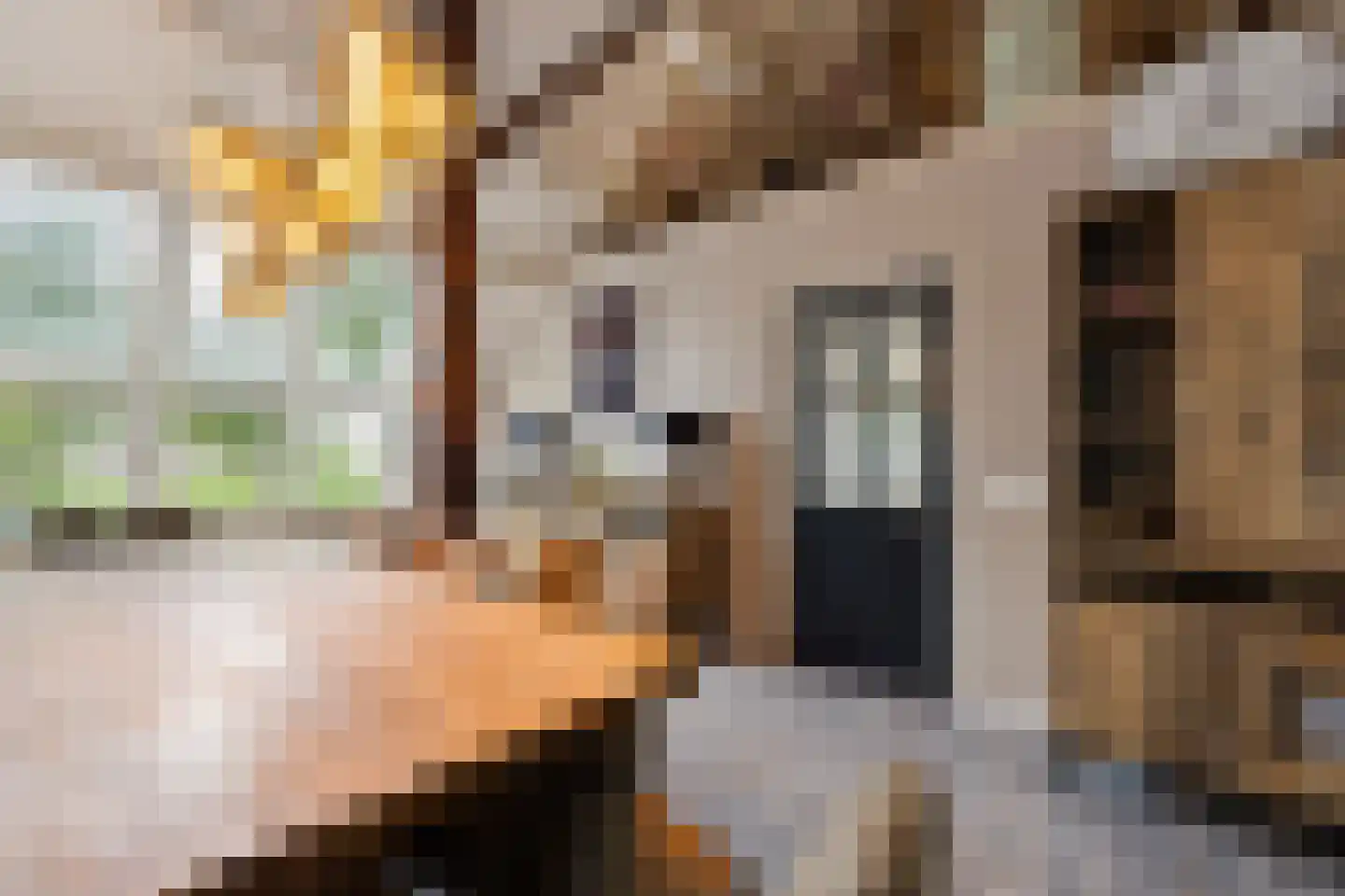 Tsjessenswei 5 Waaxens thumbnail 12