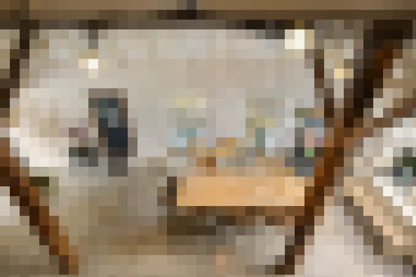 Tsjessenswei 5 Waaxens thumbnail 15