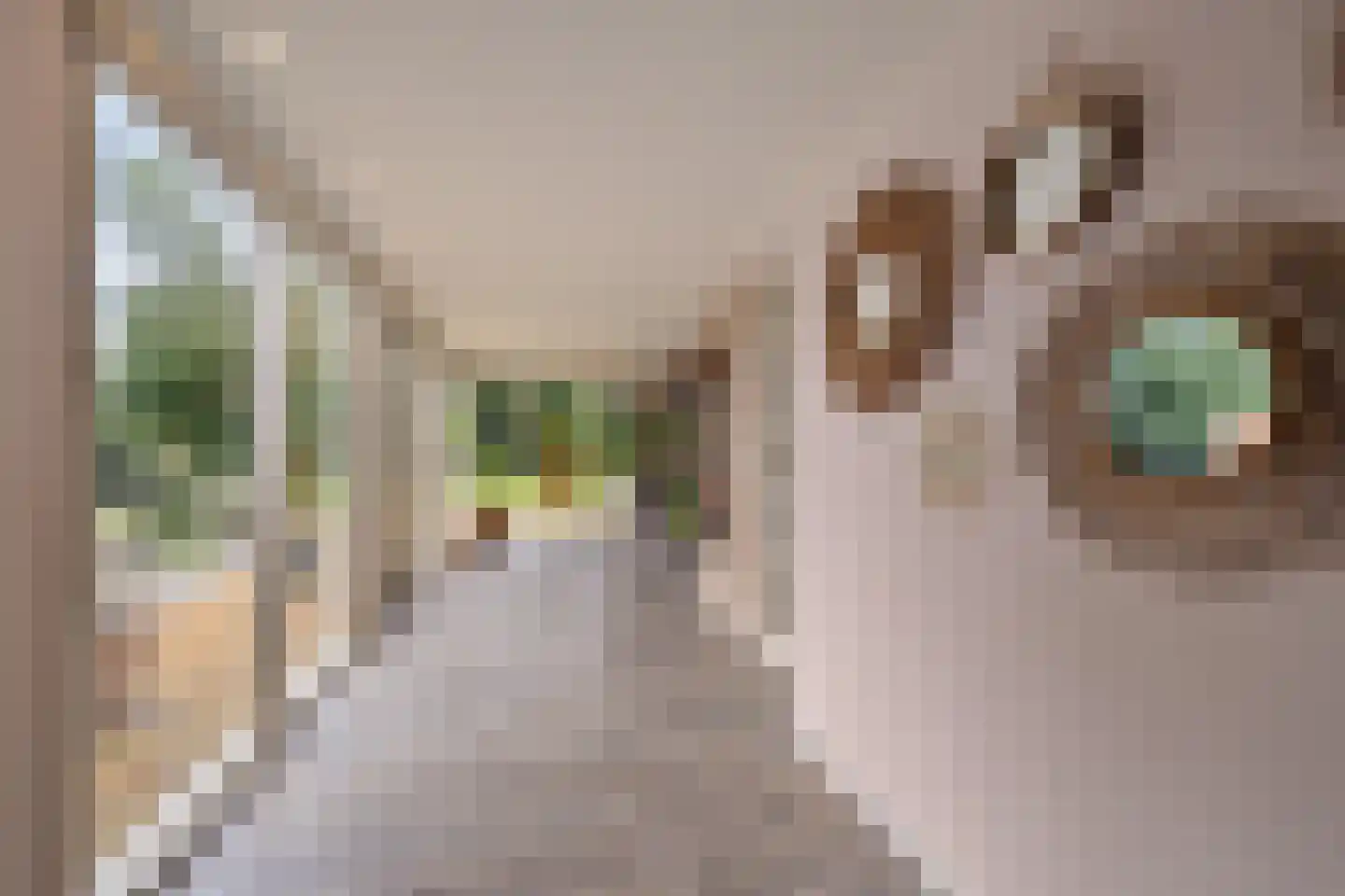 Tsjessenswei 5 Waaxens thumbnail 16