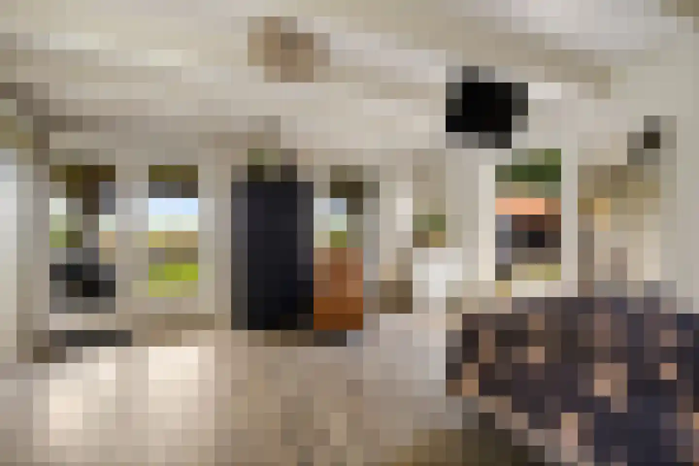 Tsjessenswei 5 Waaxens thumbnail 25