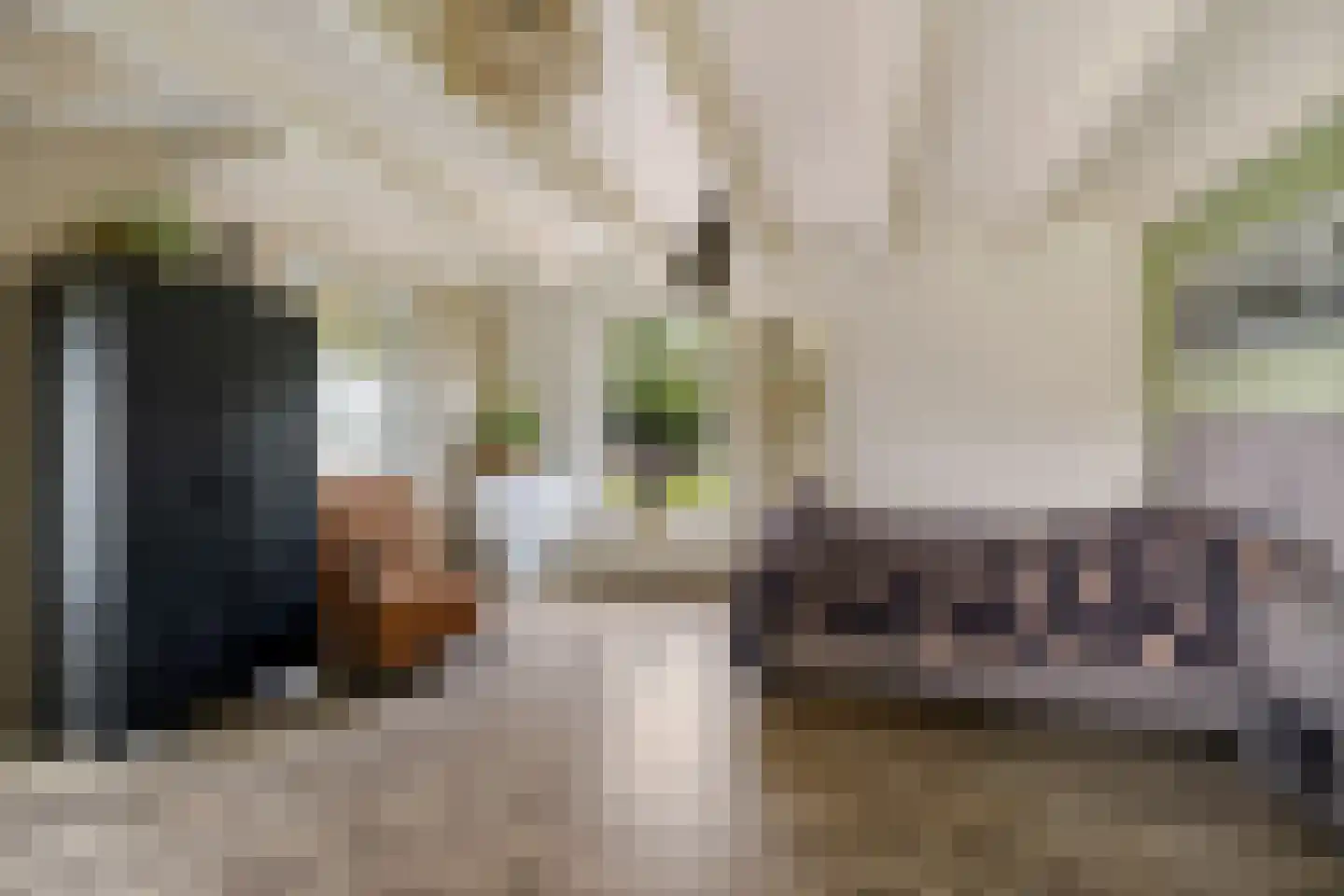 Tsjessenswei 5 Waaxens thumbnail 26