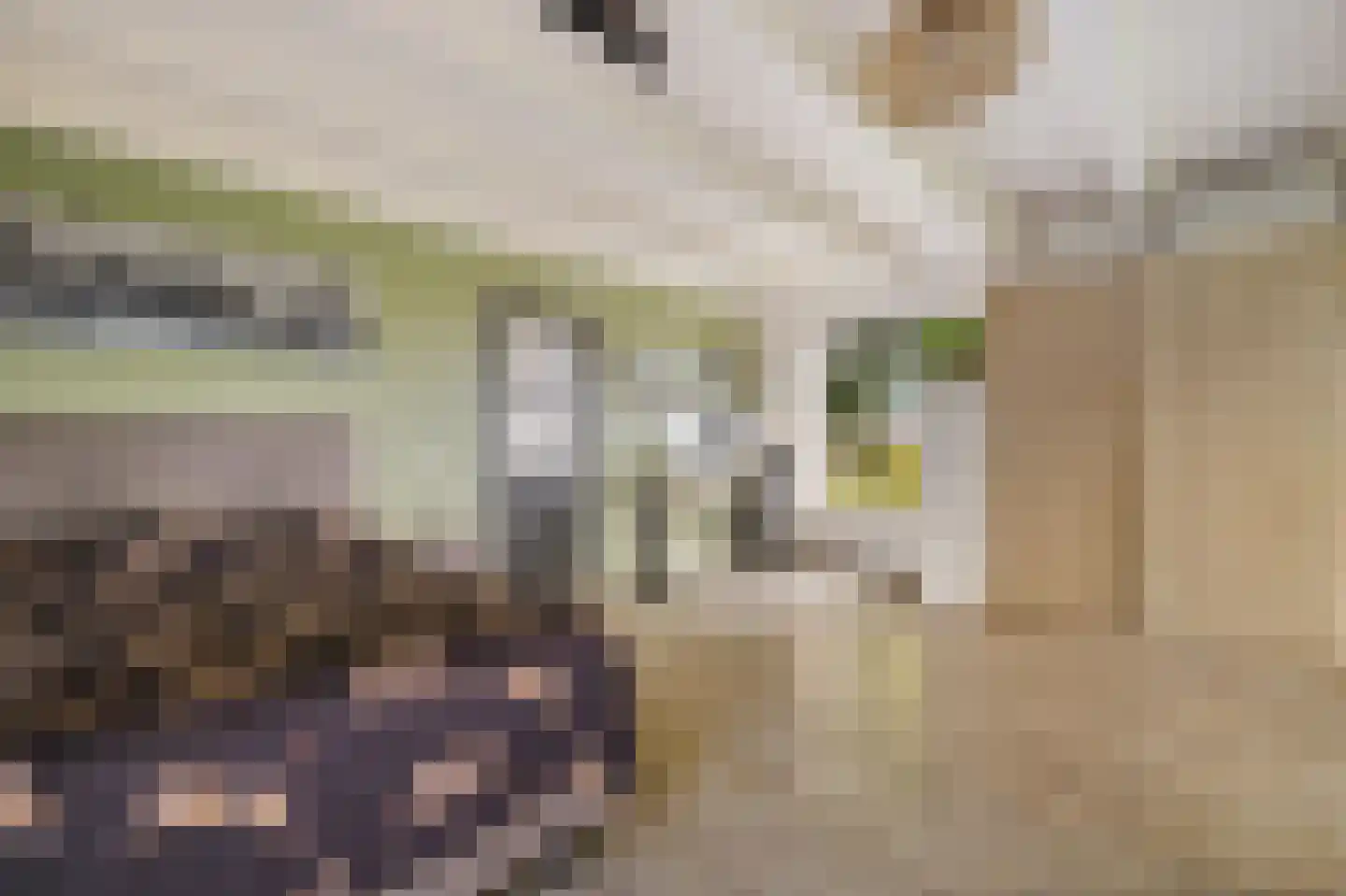 Tsjessenswei 5 Waaxens thumbnail 27
