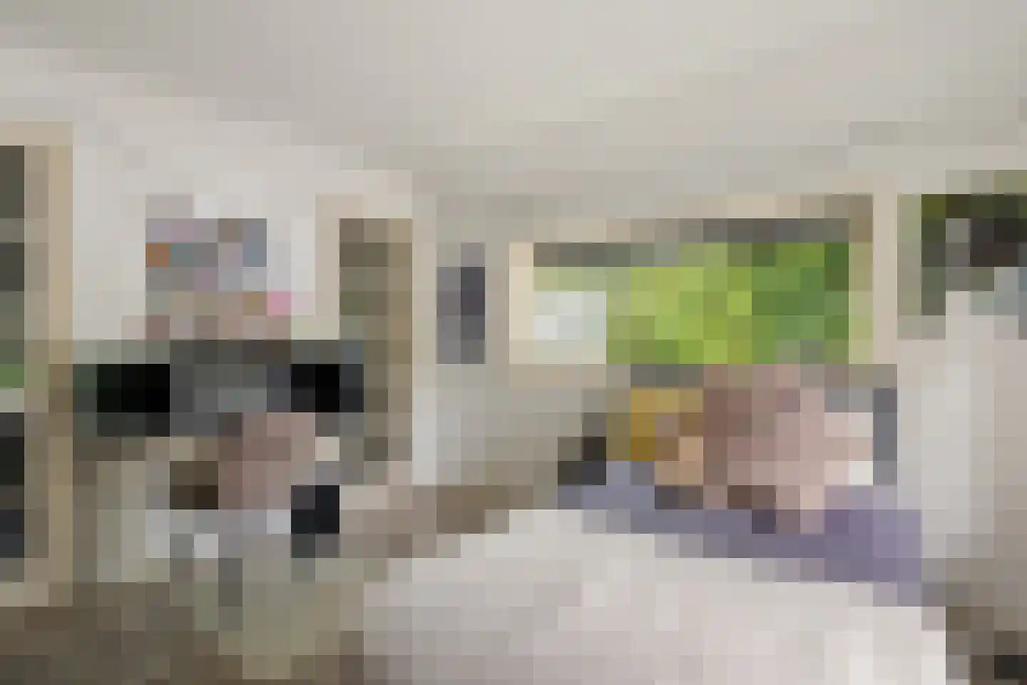 Tsjessenswei 5 Waaxens thumbnail 31