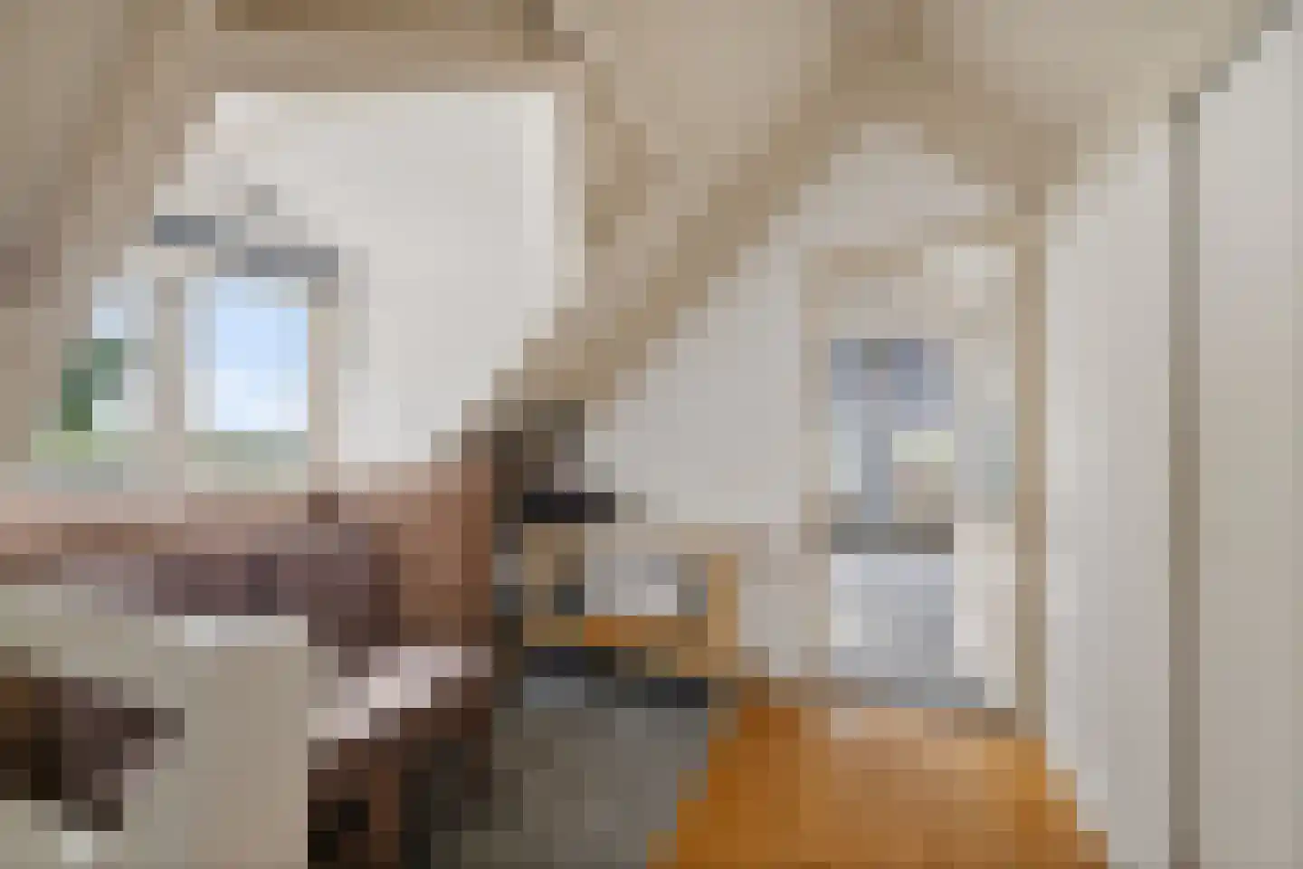 Tsjessenswei 5 Waaxens thumbnail 33